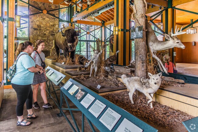 Lichterman Nature Center near Kirby Woods features exhibits, hiking trails, a backyard wildlife center, and more.