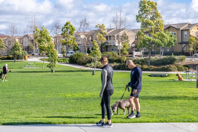 There are many walking paths around Camarillo.