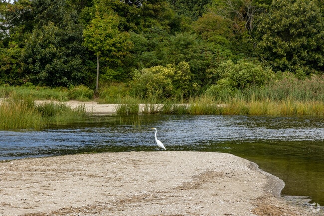 If you spot a great egret, you may be at Allins Cove Preserve in the Annawomscutt neighborhood.