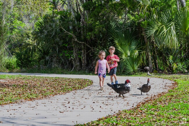 Watch or chase the ducks at one of the many lakes in Daytona Pines.