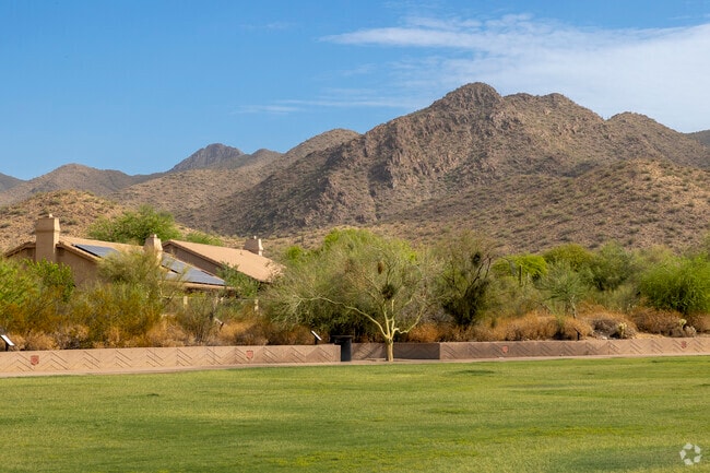 The McDowell Mountains are an ever-present view in Shea Corridor, no matter the neighborhood.