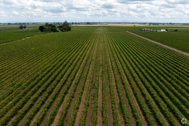 Woodbridge, nestled into California's wine country, is surrounded by vineyards.