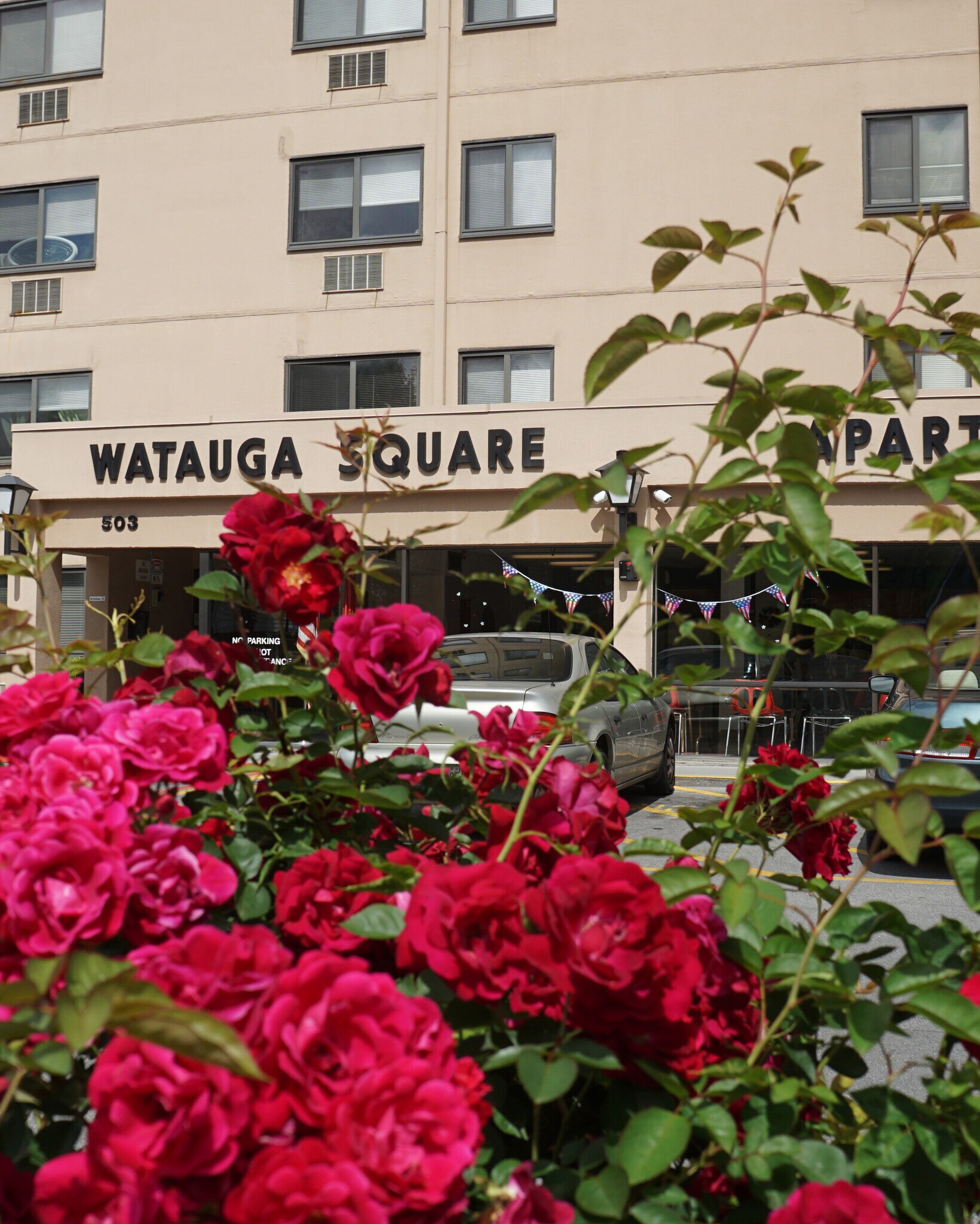 Watauga Square, Johnson City, TN 37604 - photo 1
