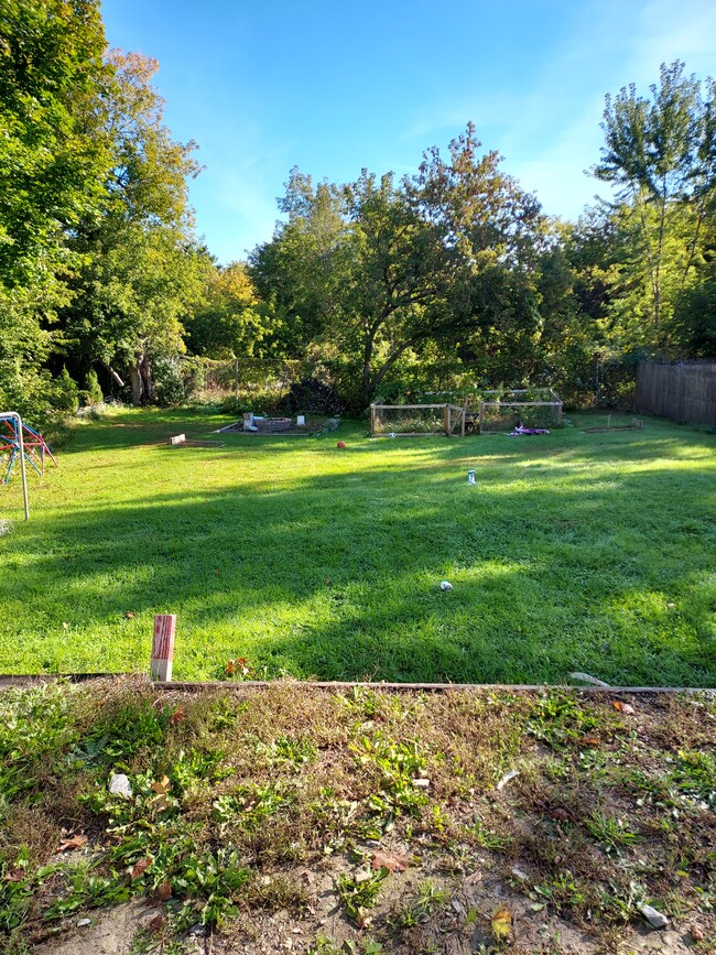Back lawn