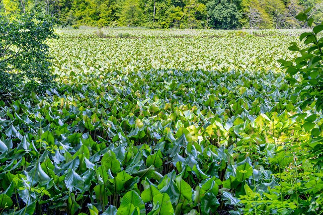 Although Runnemade is a smaller neighborhood, there are plenty of green spaces to discover.