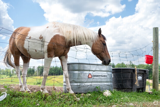 In Millville, MA, open fields, working farms, and the occasional grazing cow paint a picture of timeless rural life and local tradition.