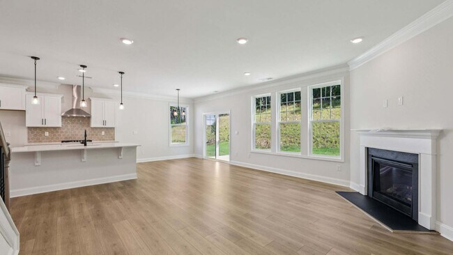 115 Asmodean Ln, Troutman, NC 28166 - photo 5