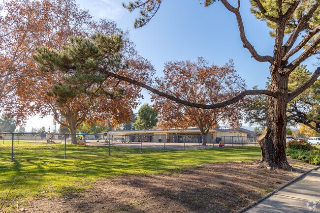 Primary Plus Elementary School offers plenty of fun after school activities in San Jose.