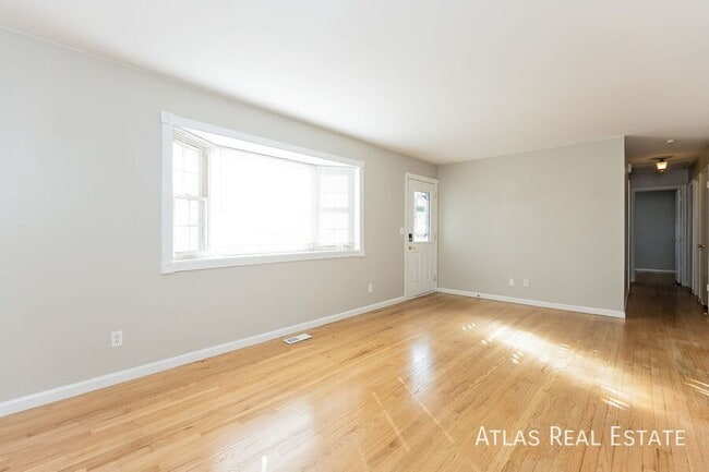 4502 Moffat Ln, Colorado Springs, CO 80915 - photo 3