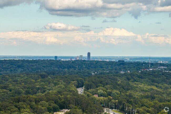 Downtown Little Rock is an easy commute with multiple travel options from River Mountain.