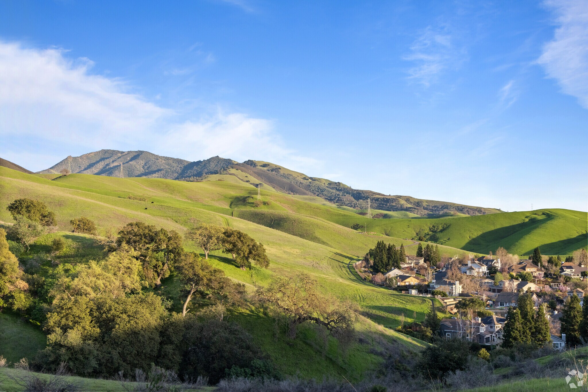 Mount Diablo views Backyard beauty in Northgate homes.