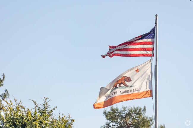 Flags fly high at Sequoia Elementary of Westminster.