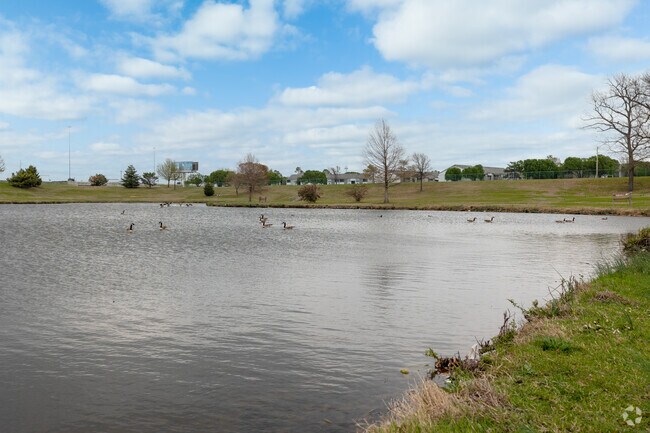 Nelson Pond Park is popular among both people and geese in Audubon.