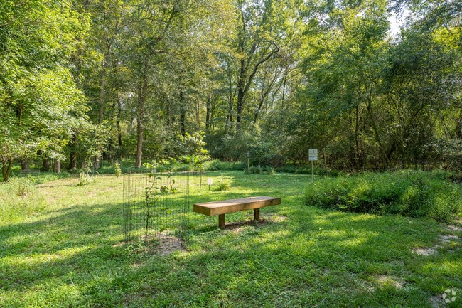 Enjoy nature walks on trails running throughout the Kingswood area.