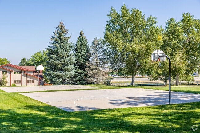 Play basketball with friends at The Ranch Park.