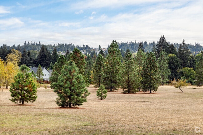North Albany Park is a large natural park with trees, field, playground and trails.