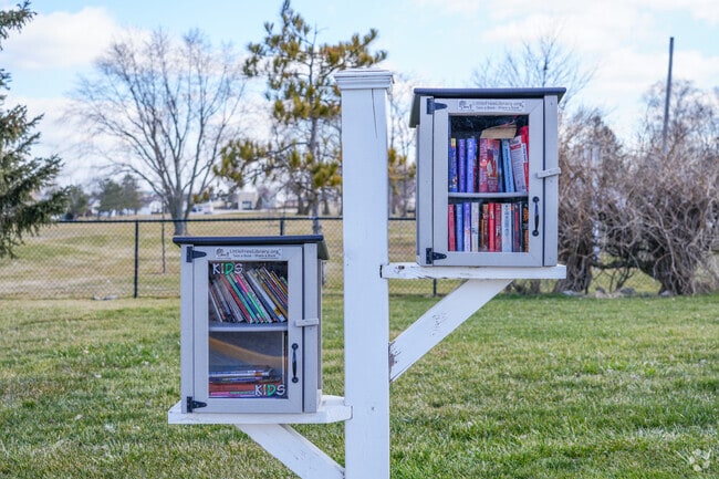 Little lending libraries can be found all around Monee.