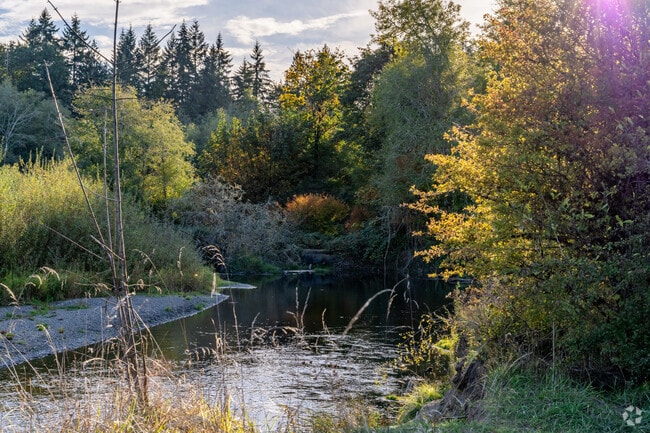 Pioneer Park’s scenic beauty makes it a perfect weekend destination.