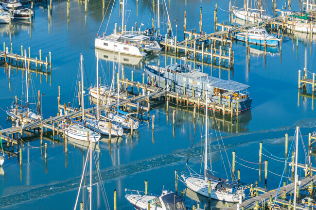 It is common to see marinas in Cambridge, MD.