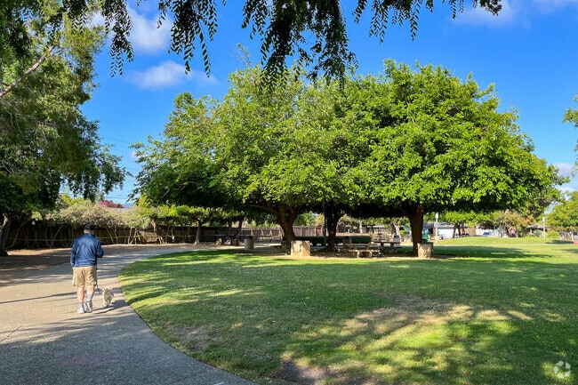 Birdland residents like to jog with their pets in the open green space.