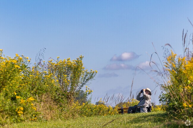 A gentleman scans the horizon for hawks at Ashland Nature Center.