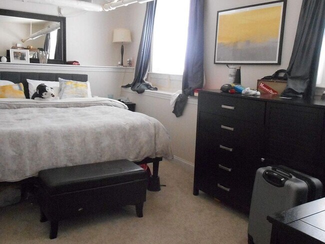 25 Euston St unit 3, Brookline, MA 02446 - photo 4