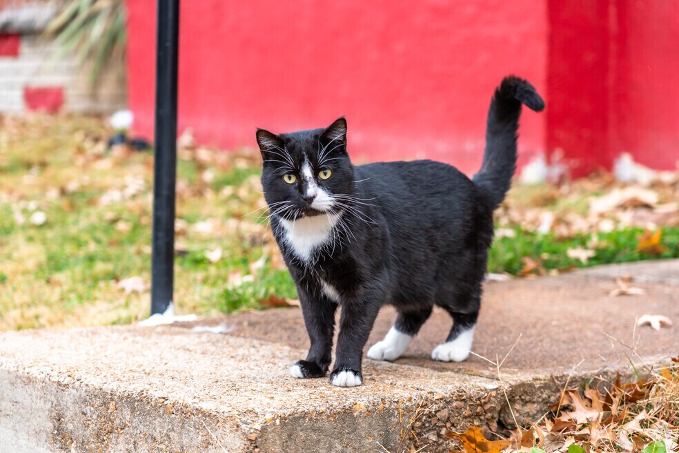 Neighborhood_Baden_v2_120523