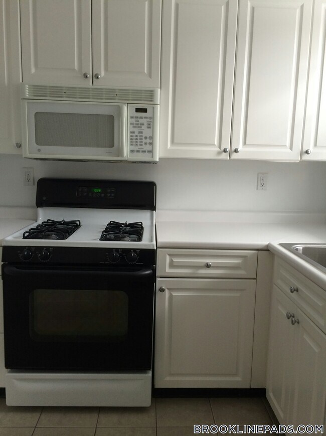 115 Gerry Rd, Chestnut Hill, MA 02467 - photo 2