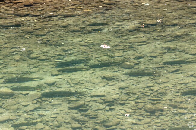 Lycoming Creek near Lewis is popular for trout fishing.
