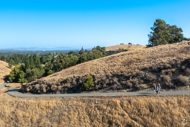 Shell Ridge is a nature lover’s paradise with diverse trails and scenic views.