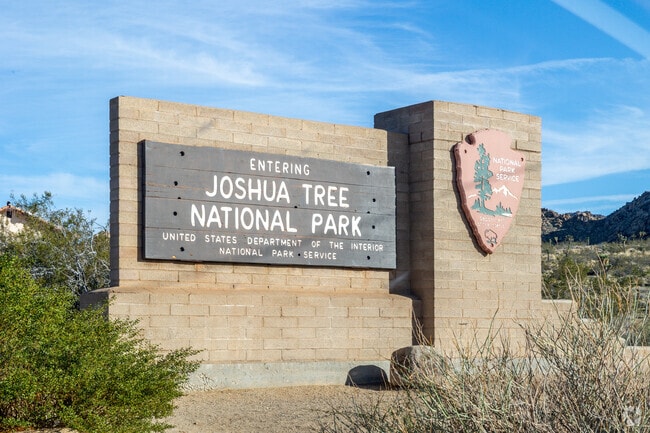 Joshua Tree National Park is a great place to connect with nature.
