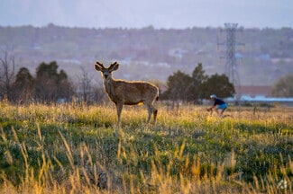 East Commerce City