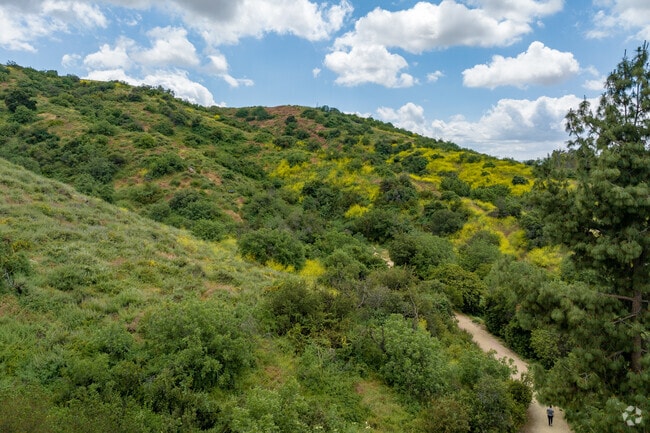 Galster Wilderness Park near South Hills has trails shaded by native trees.