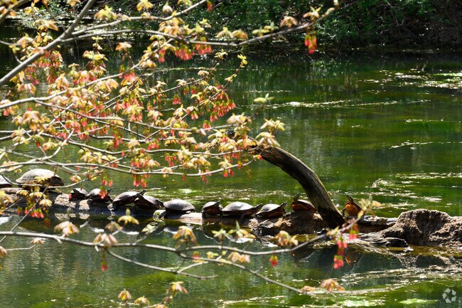 Kathryn Gorman Ponds Park in Suffern features ponds and wildlife views.