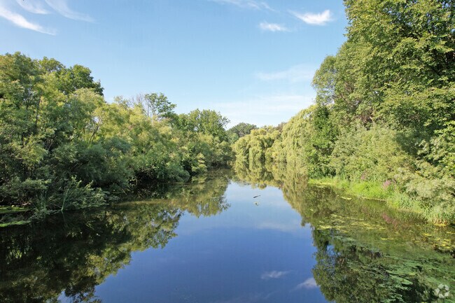 Shingle Creek Lake with great views of the tress and sky.