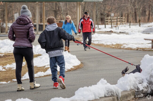 Dogs are allowed at Wood Dale City Park in Woodcliff Lake, NJ.