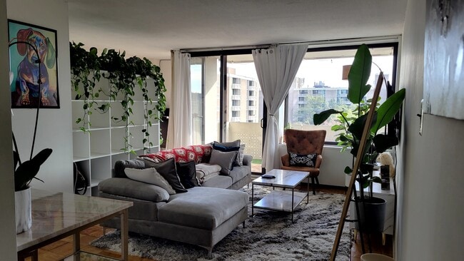 Main Living Area