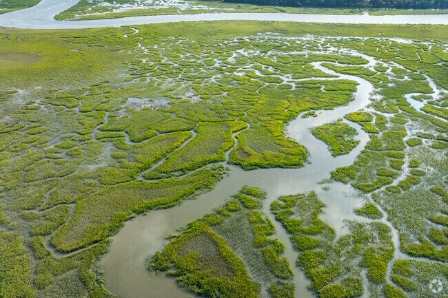 The vast marshes of the Colleton River can be