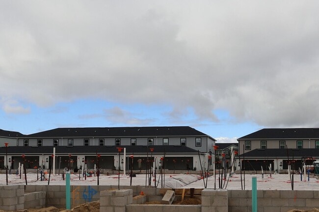 366 Lady Palm St, Apopka, FL 32703 - photo 5