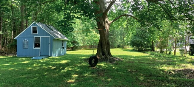 Large Shed in backyard