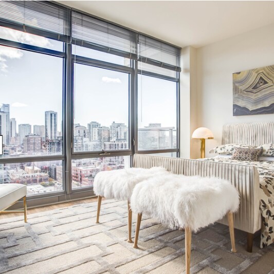 339 E Chestnut St, Chicago, IL 60611 - photo 5