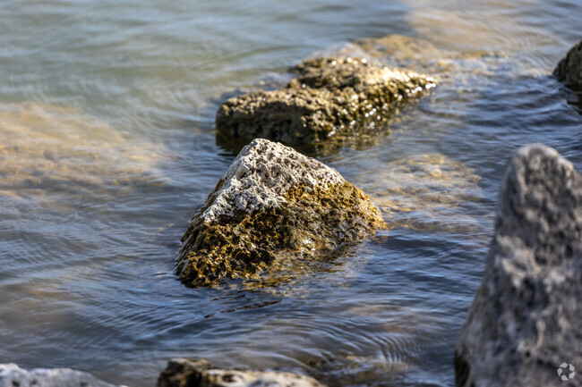 Lake Lavon is a popular spot for fishing, bird watching and active water sports for Lavon locals.