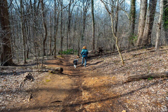 Stroll through Burleith's Glover Archbold Park with your furry friend.