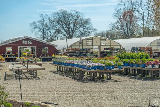 Experience Abma's Farm in Wyckoff with its array of fresh flowers.