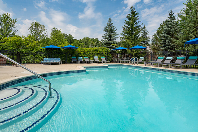 Sparkling Swimming Pool