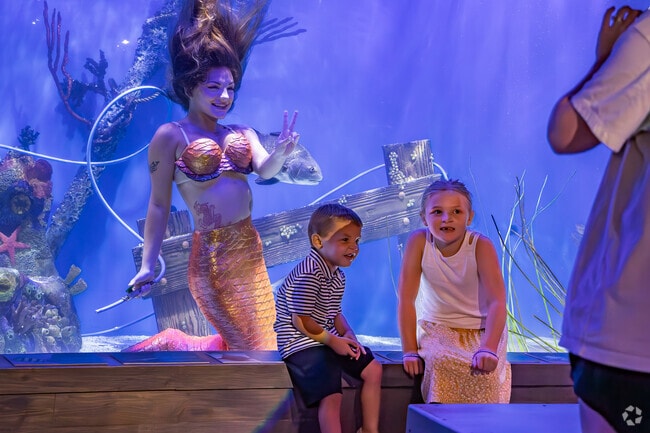 In Lecanto kids can get their picture taken with a beautiful mermaid at Mertailor's Mermaid show