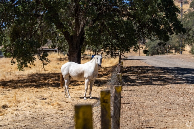 Pass friendly faces while winding through the back roads of Yokuts Valley.