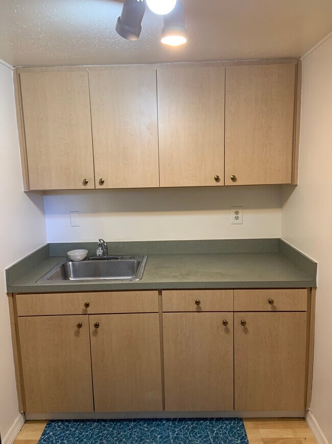 8736 Overlook Dr unit 2, Temple Terrace, FL 33617 - photo 6