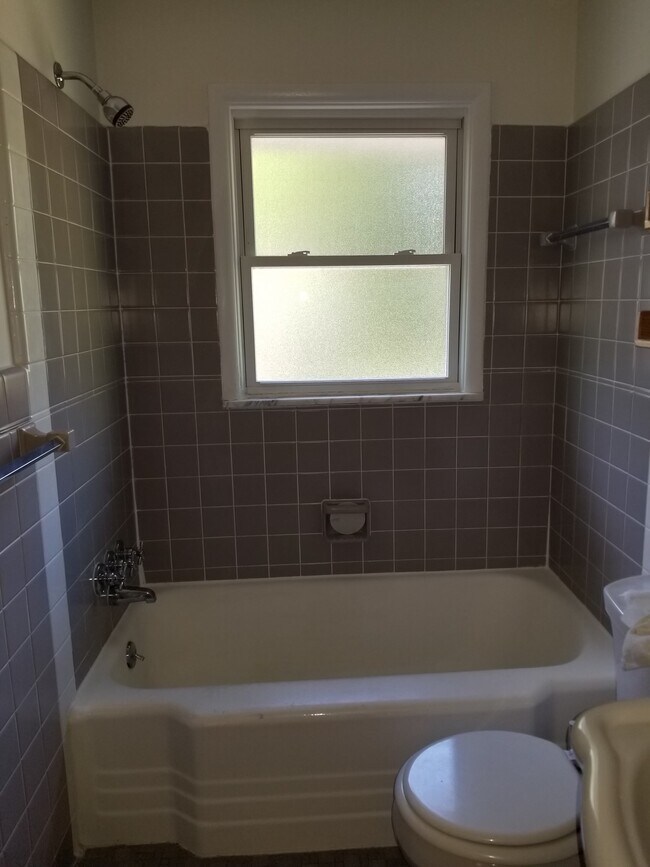 415 N 7th St unit 415 N 7th Ann Arbor, Ann Arbor, MI 48103 - photo 6