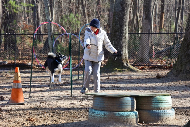 Wilson the dog shows off his skill at Partridge Dog Park.